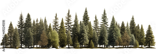 Green evergreen fir pine spruce trees treeline isolated on transparent background. Generative AI © MDNANNU