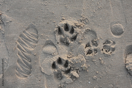 Słady butów człowieka i psa na nadmorskim piasku