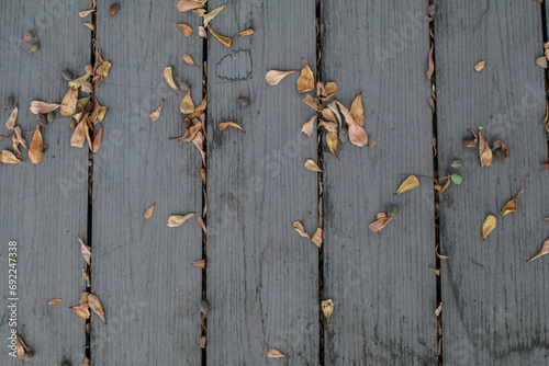 Wooden floor and yellow leave drops on the floor texture for design and architect. Autumn background.