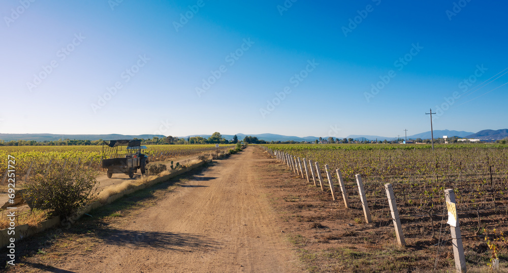 Wine farm dirt road with an antique tractor with sunny blue sky, countryside panorama, Mountains in the background Wine farm dirt road with an antique tractor with sunny blue sky, countryside panorama, Mountains in the background
