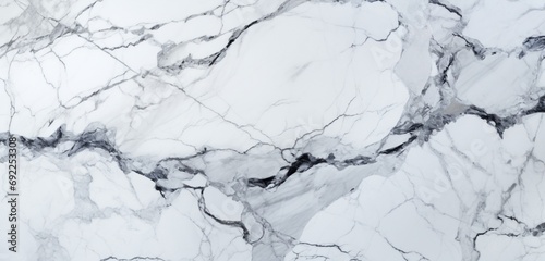  a white Carrara statuaries marble texture background with an HD camera, capturing the fine details and subtle variations that make each slab a unique masterpiece of natural art.