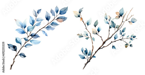 Branch leaf  watercolor clipart illustration with isolated background.