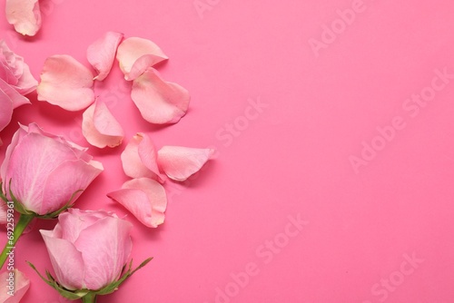 Beautiful roses and petals on pink background, top view. Space for text © New Africa