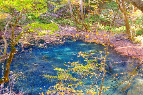 白神山地の麓にある十二湖 沸壺の池 青森県
