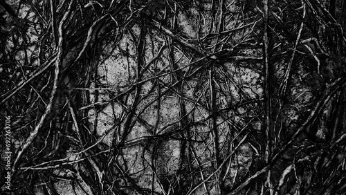 Black gray background. Horror background.