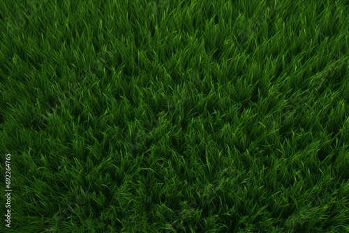 Lush Green Grass Texture: Natural Background