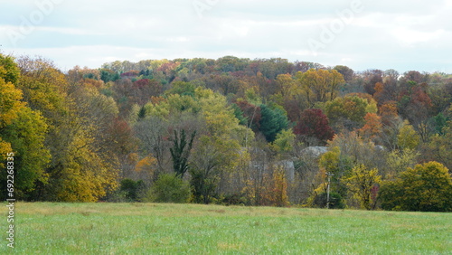 The colorful and beautiful leaves on the trees in autumn