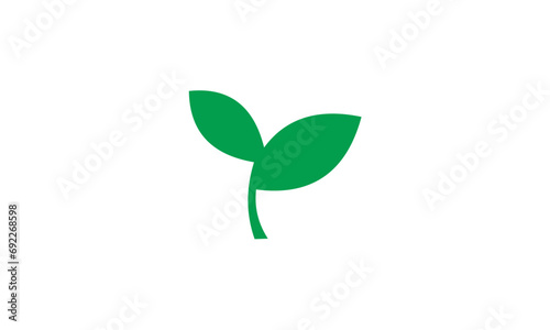 green plant isolated on white background © goodskin
