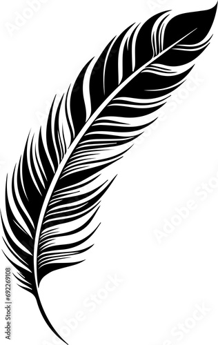 Maori  Feathers photo