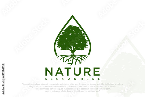 drop tree logo template . Vector illustration