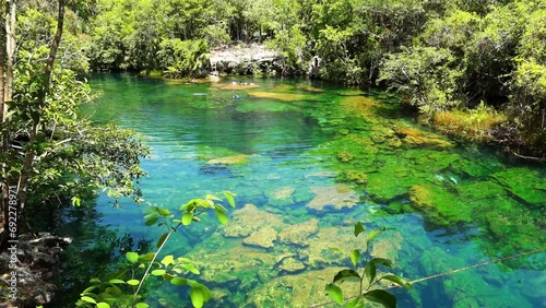 estanque natural con aguas cristalinas en medio de la selva.  photo