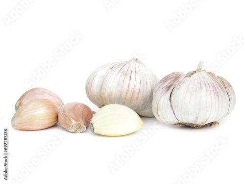 Spicy White Garlic Head with medicinal properties as herbs isolated on white background.	