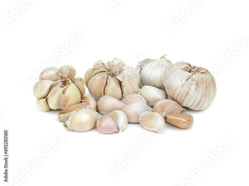Spicy White Garlic Head with medicinal properties as herbs isolated on white background.	