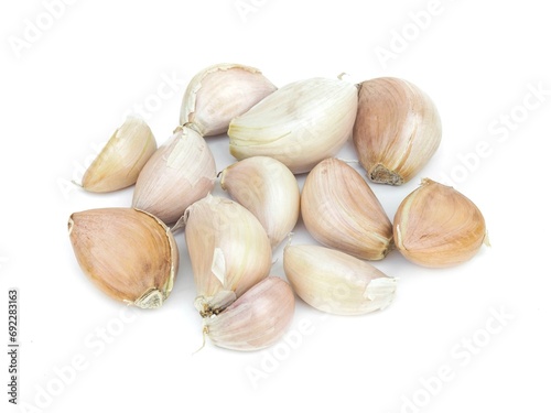 Spicy White Garlic Head with medicinal properties as herbs isolated on white background.	