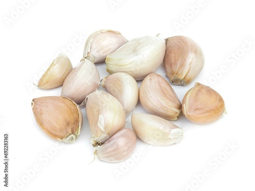 Spicy White Garlic Head with medicinal properties as herbs isolated on white background. 