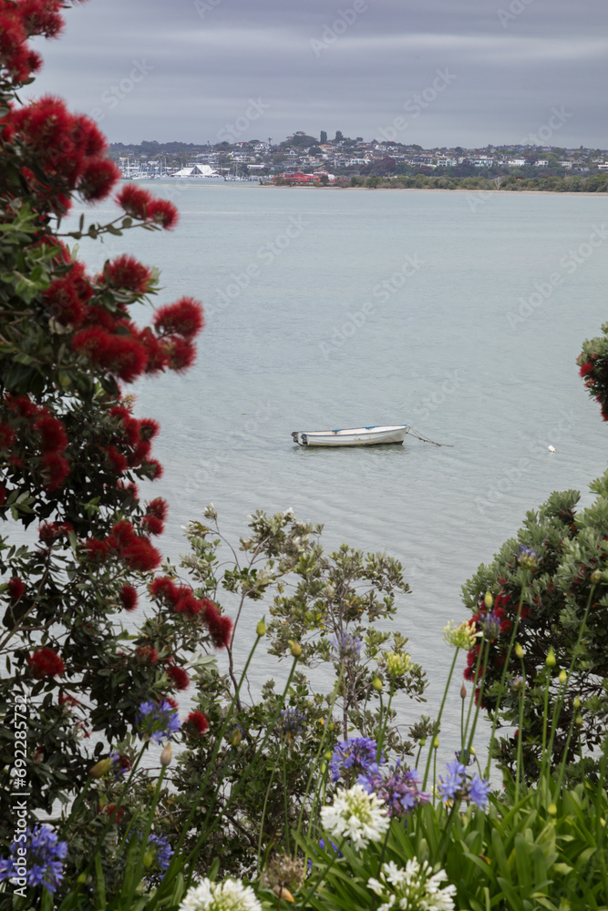 Pohutukawa Trees in Flower and boats in the water. Glendowie, Auckland, New Zealand