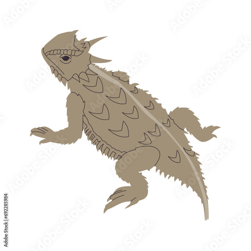 horned lizard species wild nature animal harmless reptile with tailed and horny camouflage creature