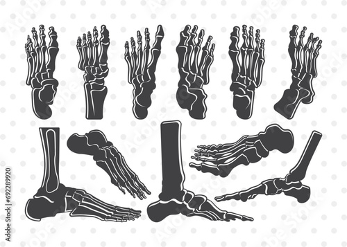 Human Foot Anatomy Silhouette, Human Foot Anatomy SVG, Foot Anatomy Svg, Foot Bones Svg, Foot Anatomy Bundle photo