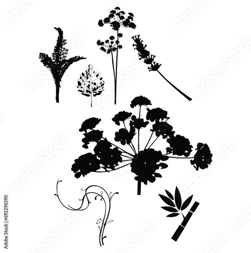set of silhouettes of flower leaf