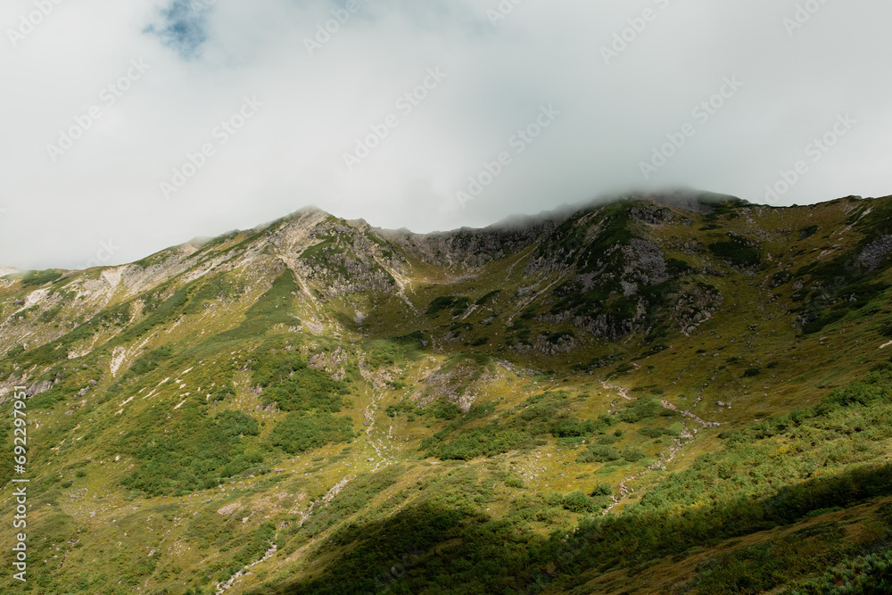 夏の山 夏の山