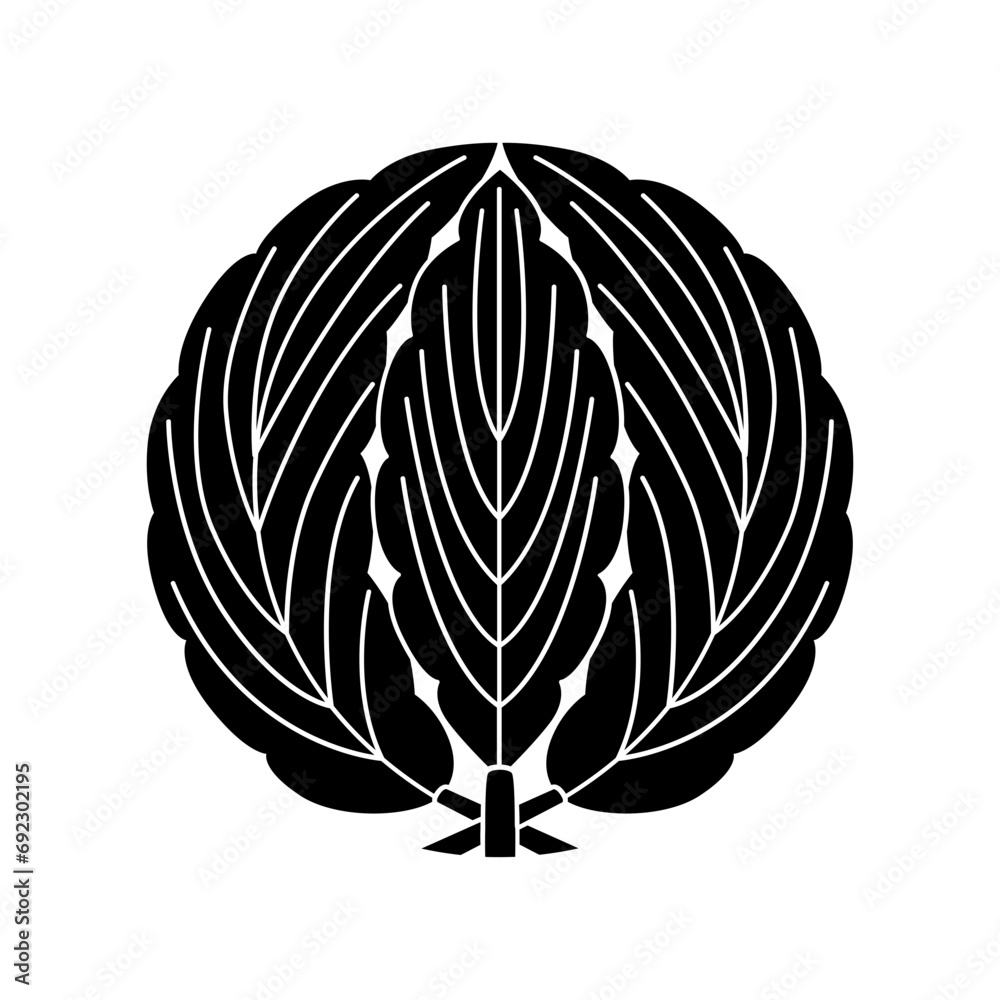柏紋・三枚抱柏(さんまいだきかしわ) 柏紋・三枚抱柏(さんまいだきかしわ)