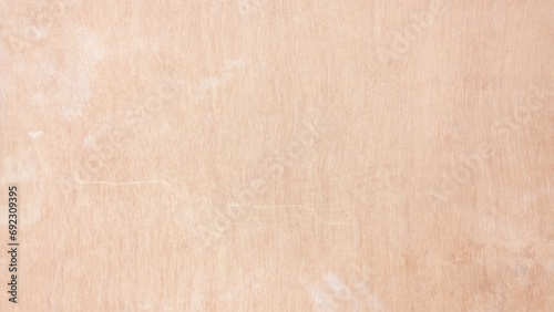 Wood texture. Wood texture for design and decoration