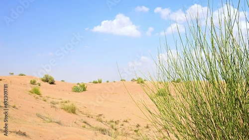 View of Desertscape in united Arab Emirates after rainy season photo