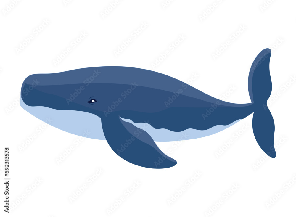 Fototapeta premium humpback sealife tropical