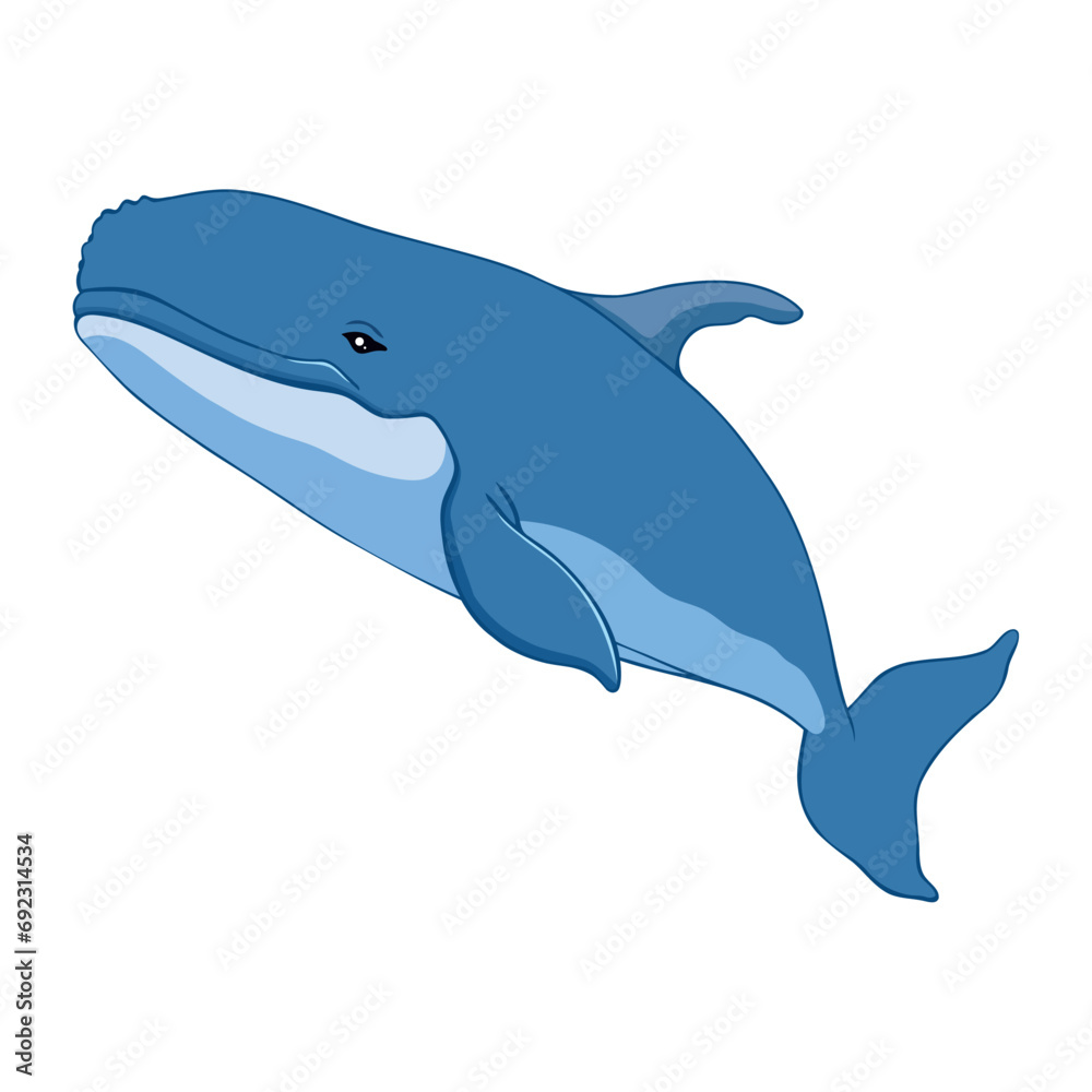 Fototapeta premium humpback sealife isolated