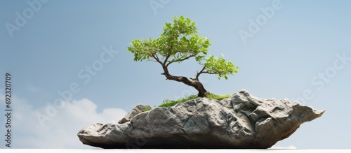 Empowering small tree on boulder symbolizing success and growth. photo
