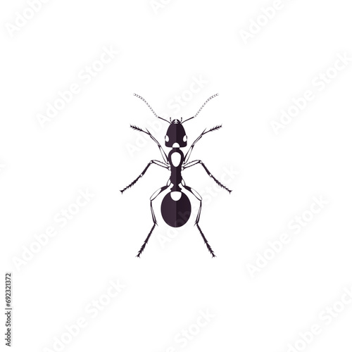 Ant Logo vector illustration template design © ShamsurRahman