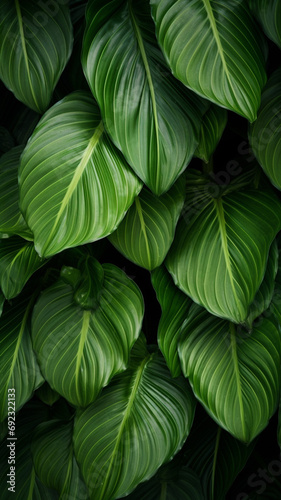 abstract green leaf texture nature realistic