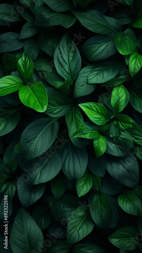 Dark spring green leaf nature backgrond top view design illustration © BornHappy