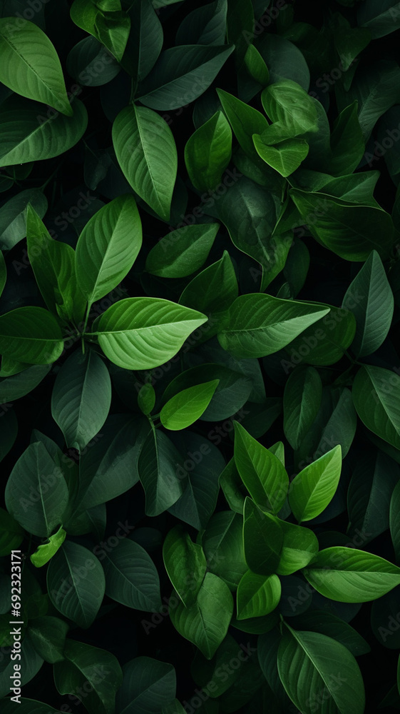 Green leaves pattern graphic. Green leaves pattern graphic.