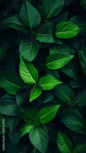 Green leaves pattern design decoration