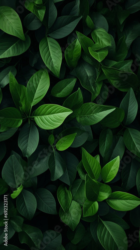 Green leaves pattern graphic.