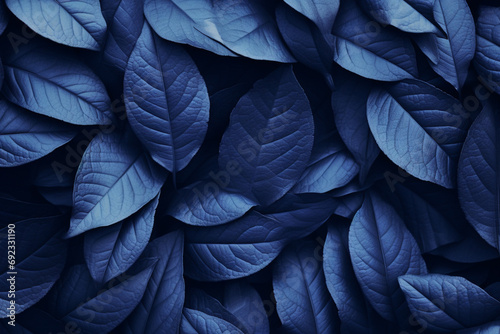 blue feathers background © CREAM 2.0