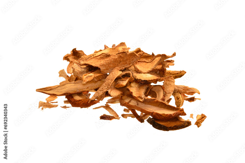 dried mushrooms isolated on white background dried mushrooms isolated on white background