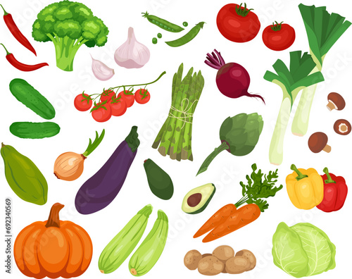 Vector vegetables icons set in a flat style isolated on white background. Collection farm product organic eco vegetable for restaurant menu, market label.