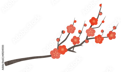 赤い梅の花(紅梅)のベクターイラスト