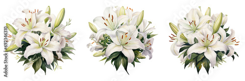 white lily flower bouquet isolated on transparent background.