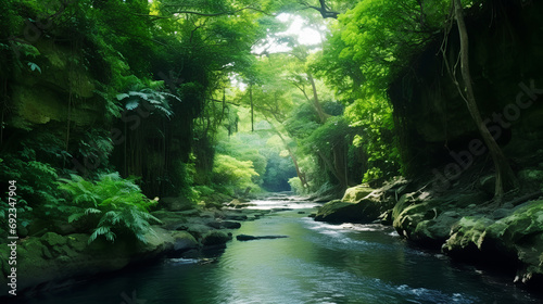 Lush tropical rainforest with ravine, Yonaguni Island of Yaeyama Islands, Japan photo