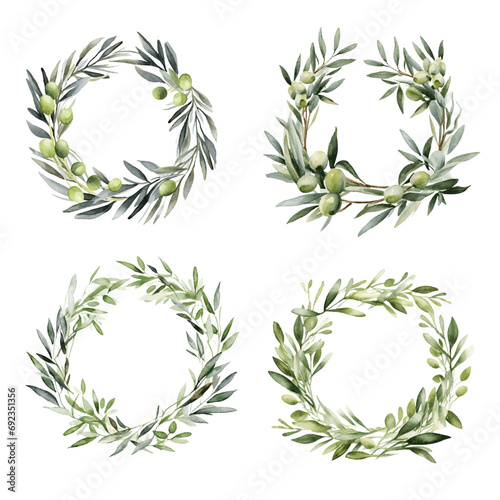 Green olive tree branch wreath with leaves watercolor paint on white background