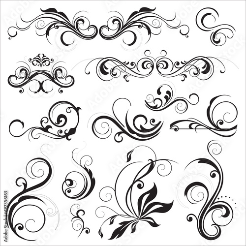 floral ornament vector with white background