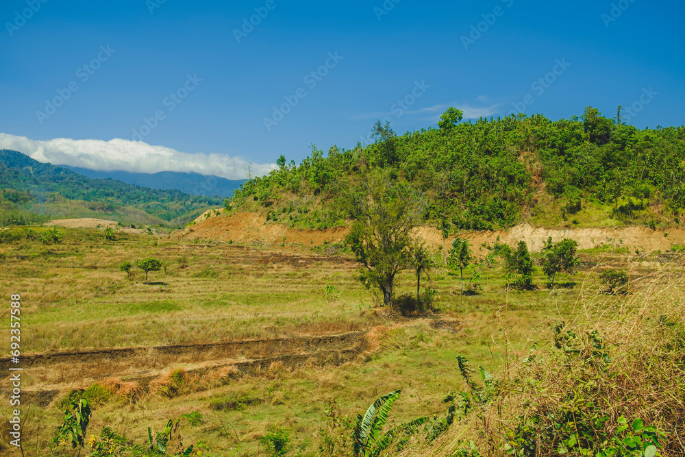 portrait of a village during the day and dry season 