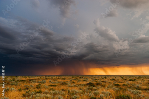 Dark thunderstorm sky. Storm clouds. Dramatic skies over the landscape. Rain and hail in field. Nature background.
