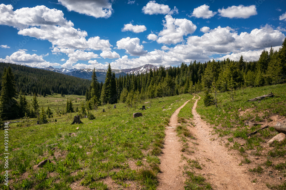 Forest trail in the Eagles Nest Wilderness, Colorado