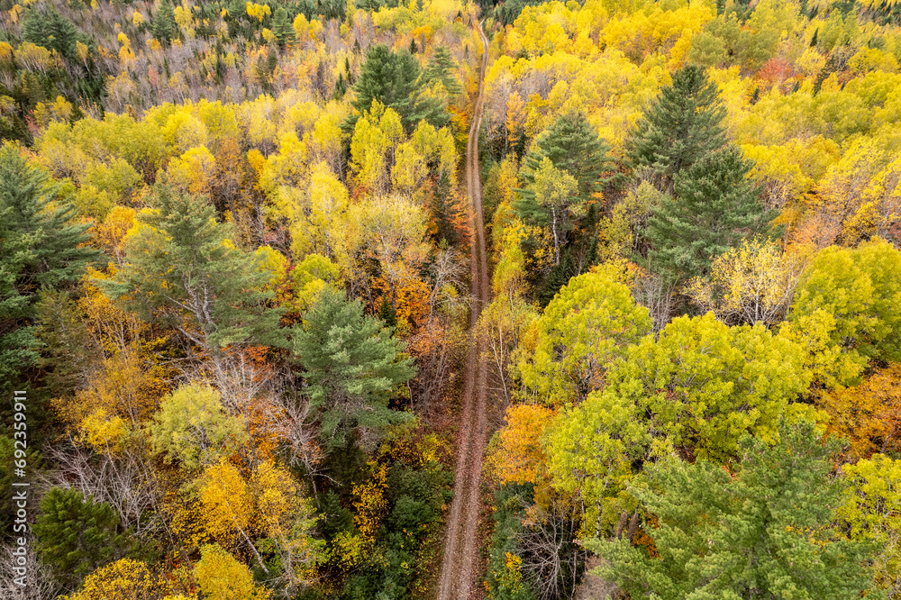 Gravel road winds through the fall foliage of the Maine woods