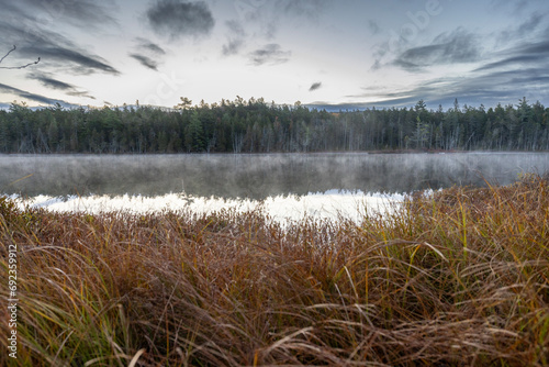 Mist rises off grassy pond in Maine woods in the early morning