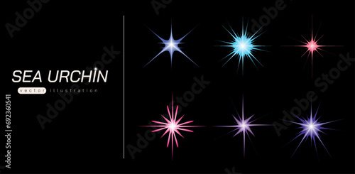 sea urchin vector illustration. star vector. graphic. element. 